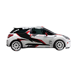 Stage Terre DS3